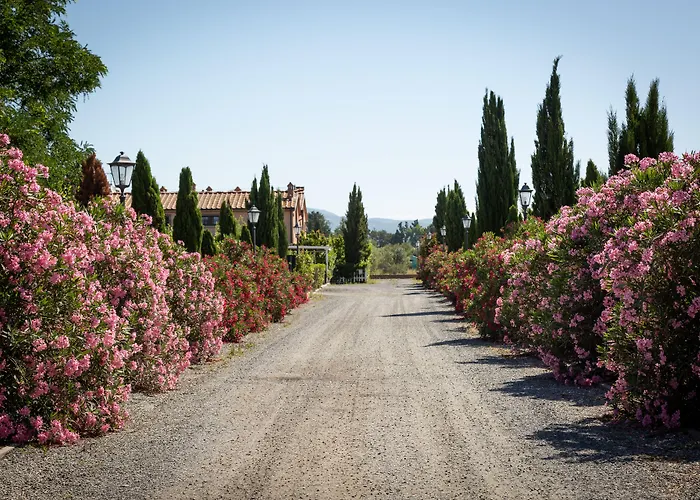 Borgo Verde 3* Vada